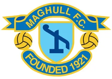 a blue and yellow emblem with a basketball
